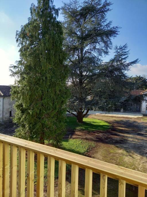 La Grelauderie 4 Apartment Saintes Bagian luar foto